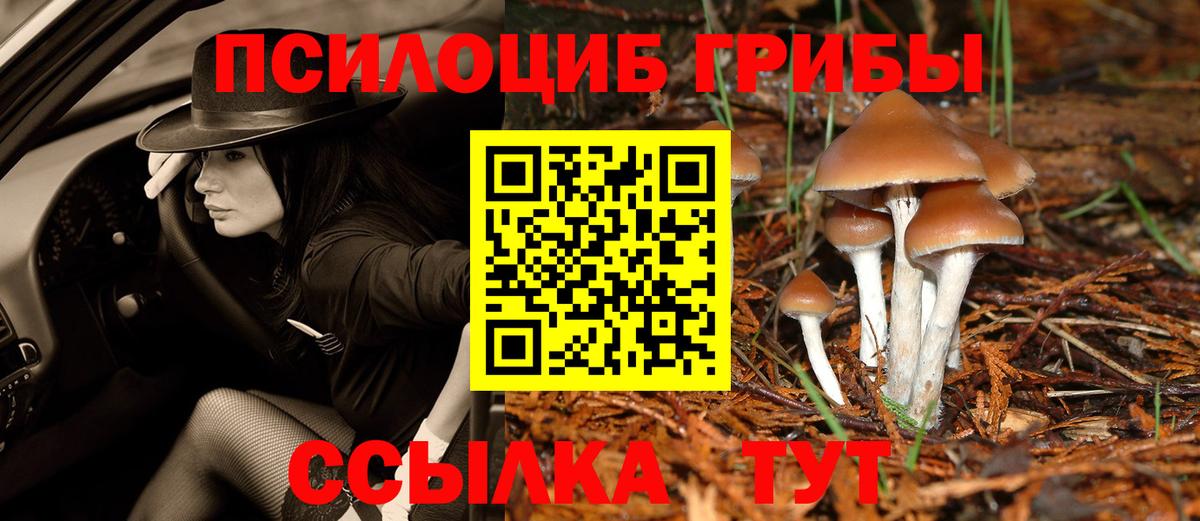 Псилоцибиновые грибы Psilocybine cubensis Лабинск